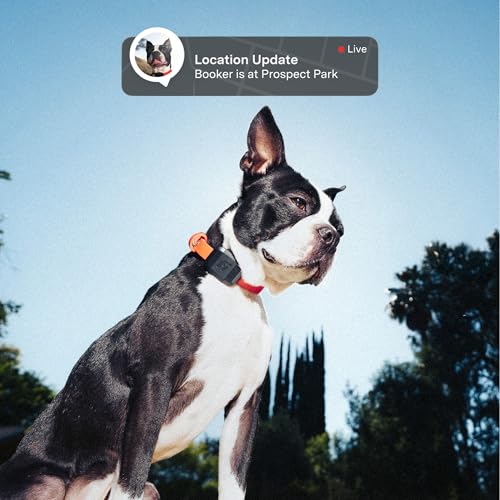Fi Mini GPS Tracker for Dogs and Cats LTE Smart Collar Attachment Waterproof Real-Time Pet Locator Device