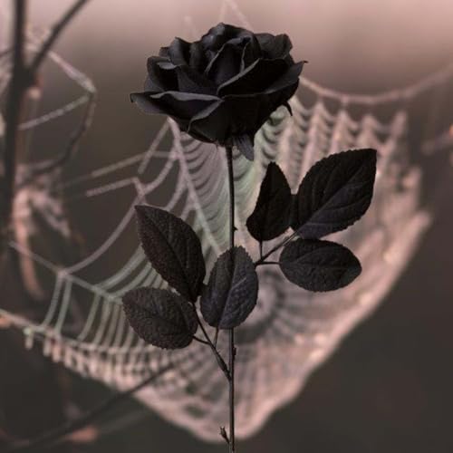 Artificial Black Roses – 12PCS 21" Long Stem Silk Flowers for Halloween, Gothic Wedding & Home Decor