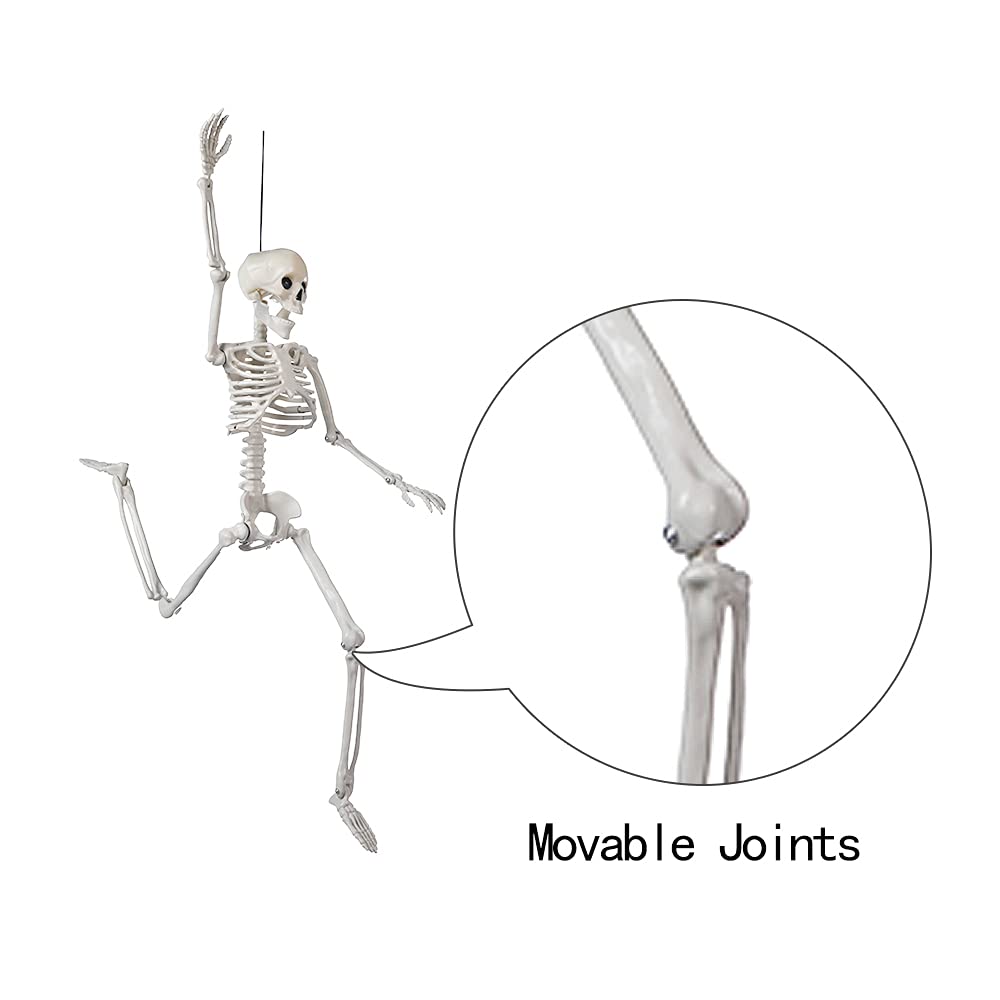 24" Full Body Halloween Skeleton Decoration – Posable Joints, Realistic Bone Design & Durable Plastic Build