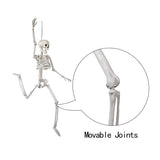24" Full Body Halloween Skeleton Decoration – Posable Joints, Realistic Bone Design & Durable Plastic Build