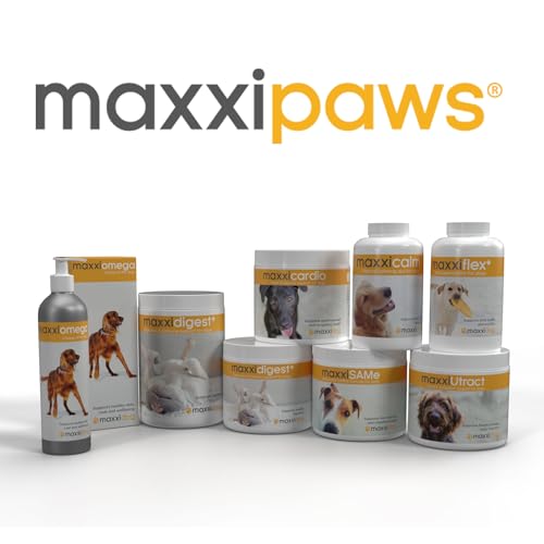 MaxxiFlex+ Advanced Joint Support Tablets for Dogs – Glucosamine, MSM & Turmeric Hip & Mobility Formula (60 Chews)
