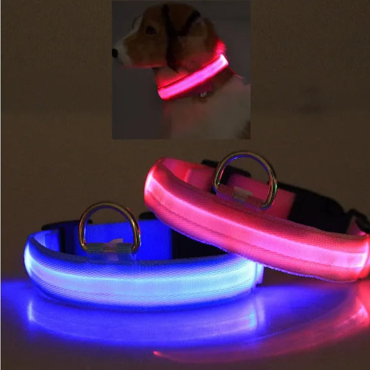 LED Pet Safety Halo Collar – Rechargeable Light-Up Dog & Cat Collar for Night Walks & Outdoor Visibility