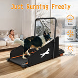 Dog Treadmill – Indoor Exercise & Training Machine for Small and Medium Dogs | DogPacer Running & Walking Fitness Equipment