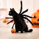 Black Spider Halloween Costume for Cats and Small Dogs – Adjustable Funny Pet Outfit with 8 Realistic Legs