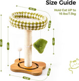 Mewoo Cat Scratching Post Bed – 2-in-1 Small Cat Tower with Sisal Scratcher & Ball Track Toys, Green