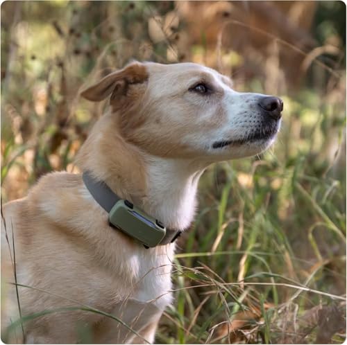 Tractive Real-Time GPS Dog Tracker Bundle with Olive Cover – Waterproof Smart Pet Tracker with Health Monitoring (Brown)