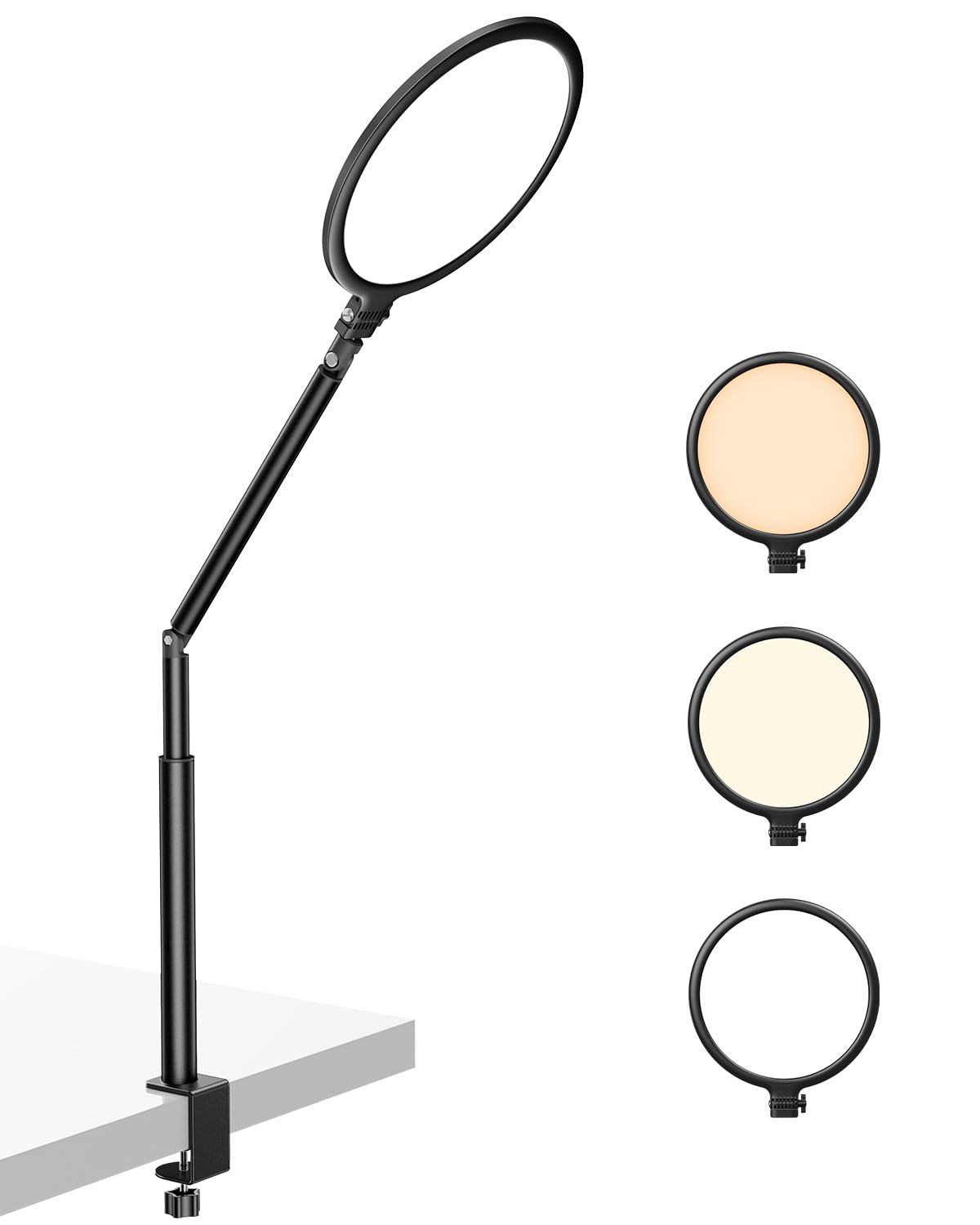 Weilisi 10.2" Desk Ring Light with C-Clamp Stand – 360° Rotating LED Lamp for Zoom, Podcast & Streaming