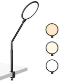 Weilisi 10.2" Desk Ring Light with C-Clamp Stand – 360° Rotating LED Lamp for Zoom, Podcast & Streaming