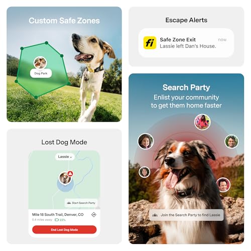 Fi Series 3+ Smart GPS Dog Collar Gray with Live Tracking, Escape Alerts & AI Health Monitoring System