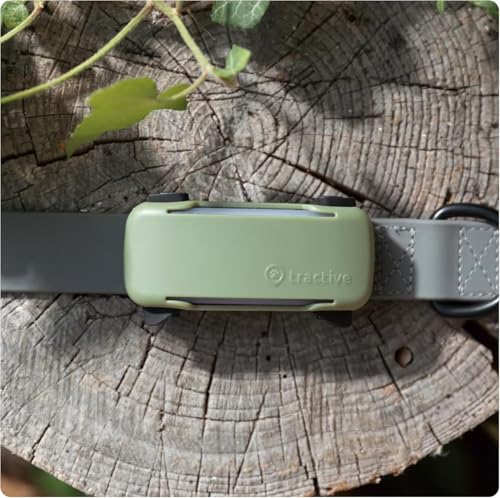 Tractive Real-Time GPS Dog Tracker Bundle with Olive Cover – Waterproof Smart Pet Tracker with Health Monitoring (Brown)
