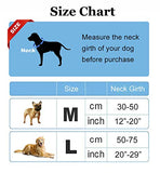 Lion Mane Dog Costume – Funny Halloween Wig for Large Dogs