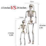 24" Full Body Halloween Skeleton Decoration – Posable Joints, Realistic Bone Design & Durable Plastic Build