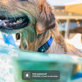 Fi Series 3+ Smart GPS Dog Collar Gray with Live Tracking, Escape Alerts & AI Health Monitoring System