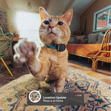 Fi Mini GPS Tracker for Cats LTE Real-Time Tracking Waterproof Smart Collar Attachment with Escape Alerts