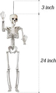 24" Full Body Halloween Skeleton Decoration – Posable Joints, Realistic Bone Design & Durable Plastic Build