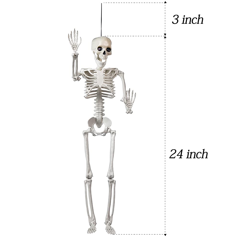 24" Full Body Halloween Skeleton Decoration – Posable Joints, Realistic Bone Design & Durable Plastic Build
