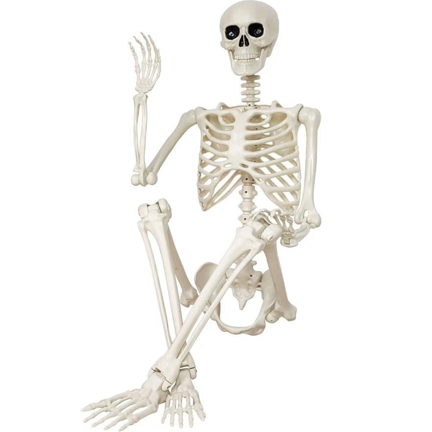36" Poseable Halloween Skeleton Decoration – Full-Body Plastic Skeleton with Movable Joints & Hanging Hook