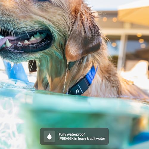 Fi Series 3+ Smart GPS Dog Tracking Collar with Real-Time Location, Escape Alerts & Health Monitoring