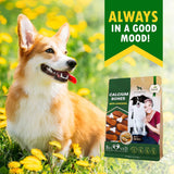 Dog Calcium Bones Wrapped with Chicken – Rawhide-Free Grain-Free Organic Chew Treats for Training & Healthy Teeth