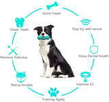 Pet Dog Cleaning Chew Toy – Rubber Molar Stick for Aggressive Chewers, Durable Dog Toy for Oral Care & Healthy Teeth