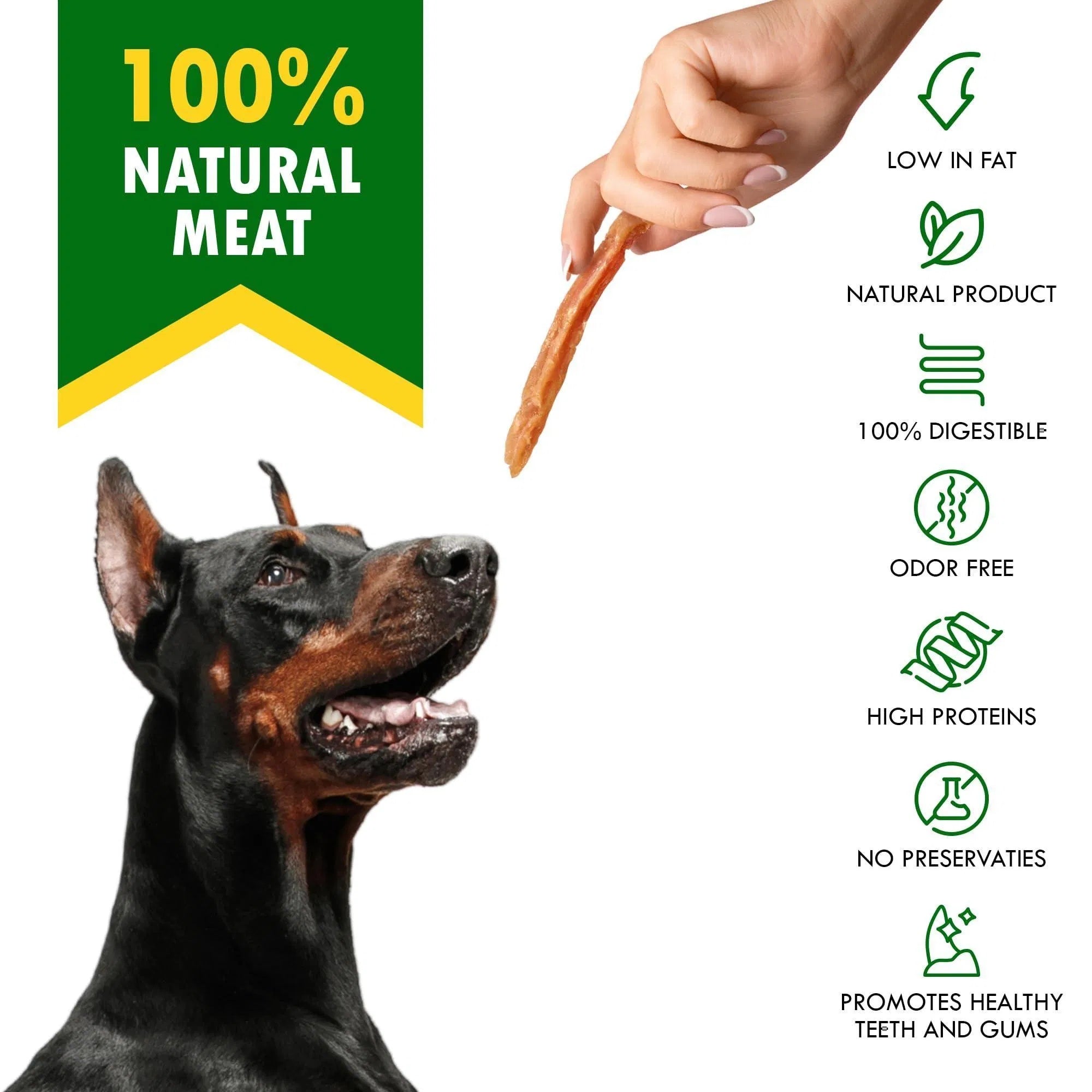 Chicken Strips Dog Treats – Human-Grade Grain-Free Meat Sticks for Healthy Chewing (10.6 oz)