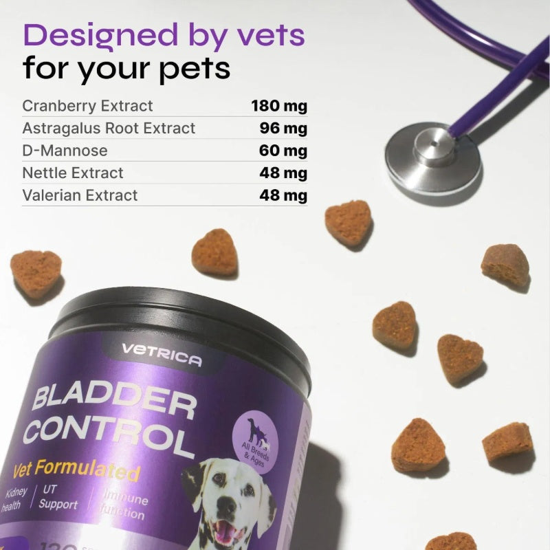 Dog UTI Treatment Cranberry Chews – Bladder Control & Kidney Support with D-Mannose