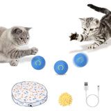 Motion-Activated Fast-Rolling Cat Toy Ball in Pouch – Rechargeable Interactive Play