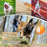 Prokel Dog Squeak Chew Toy – Tough Ball for Medium & Large Aggressive Chewers, Indestructible Squeaky Training & Fetch Toy