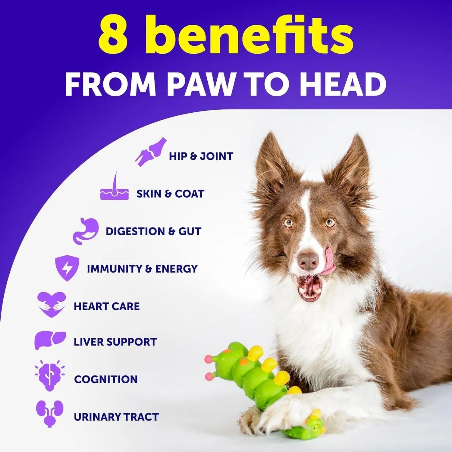 Dog Multivitamin Chews – 20-in-1 Vitamins with Glucosamine for Joint, Skin, Gut, Immunity & Mobility (120 Chews)