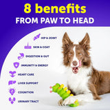 Dog Multivitamin Chews – 20-in-1 Vitamins with Glucosamine for Joint, Skin, Gut, Immunity & Mobility (120 Chews)