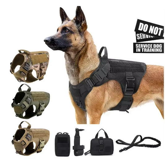 Pet Harness Luxury Dog Leash Set – Adjustable Camouflage Nylon Chest Harness with Matching Leash for Walking & Training