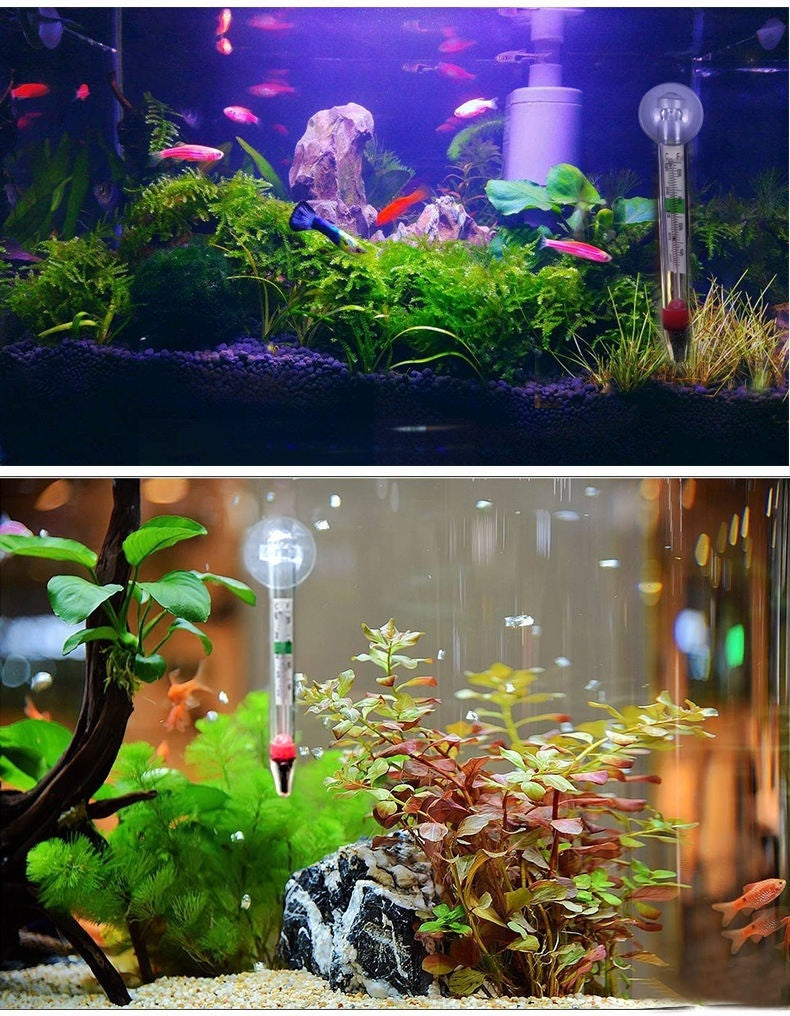 Chubby Thermometer YSL-110 – Digital LCD Aquarium Thermometer, Accurate Water Temperature Monitor for Fish Tanks