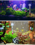 Chubby Thermometer YSL-110 – Digital LCD Aquarium Thermometer, Accurate Water Temperature Monitor for Fish Tanks