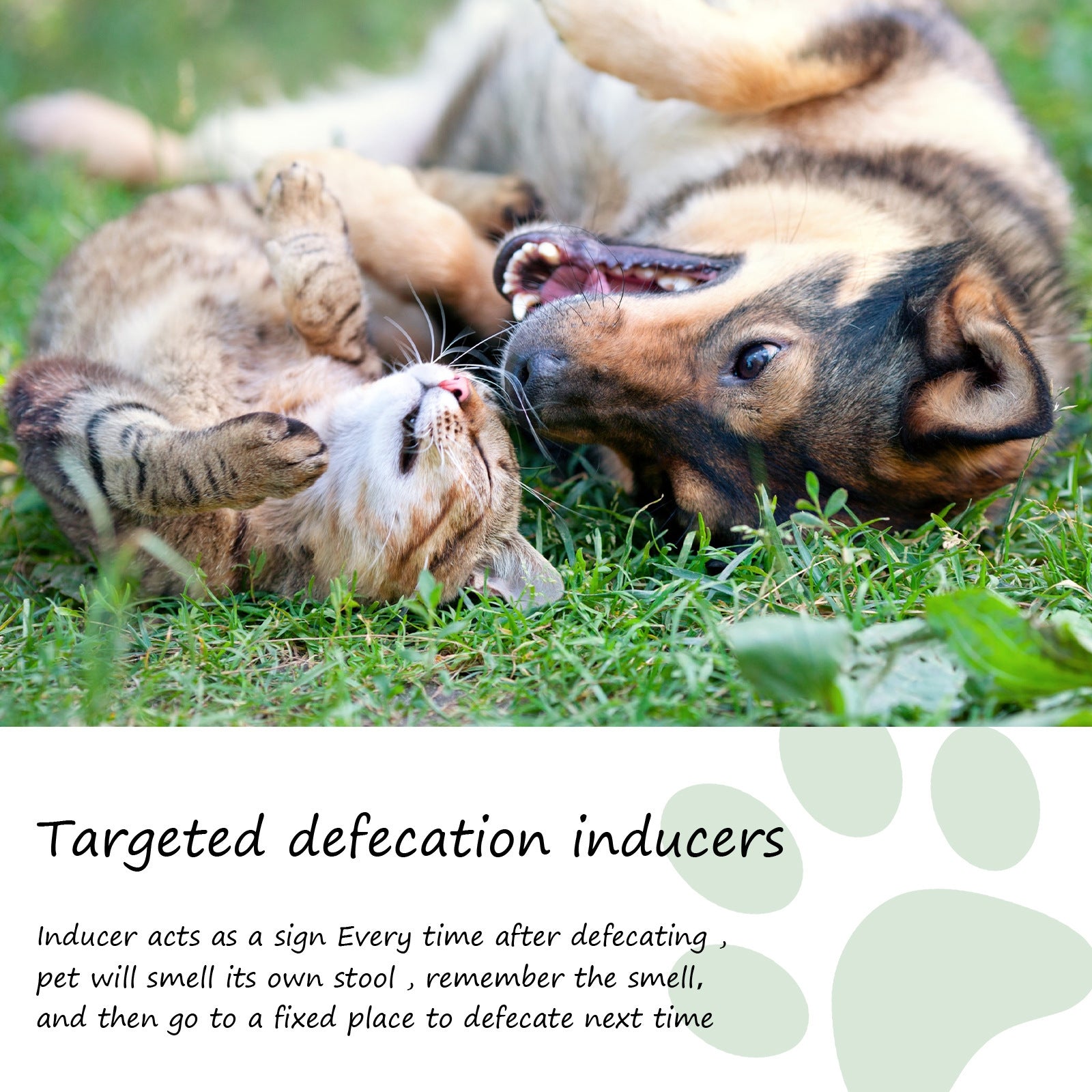 Pet Toilet Inducer Spray – Targeted Toilet Positioning Training Agent for Cats & Dogs