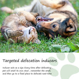 Pet Toilet Inducer Spray – Targeted Toilet Positioning Training Agent for Cats & Dogs
