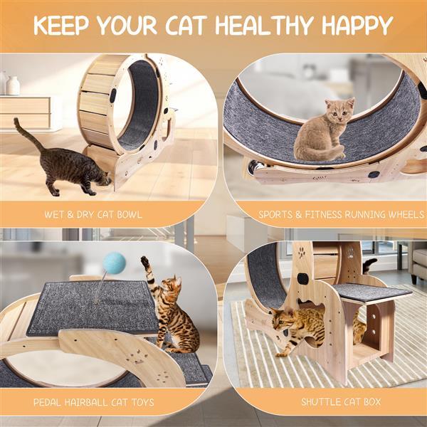6-in-1 Cat Exercise Wheel – Upgraded Indoor Sports Wheel Device for Active & Healthy Cats