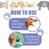 Yegbang Pet Oral Cleaning Spray – Breath-Freshening, Tartar-Reducing Dental Mist for Dogs & Cats