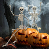 24" Full Body Halloween Skeleton Decoration – Posable Joints, Realistic Bone Design & Durable Plastic Build