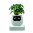 AI Smart Planter with Interactive Display, Plant Health Sensor, Gesture Control, and Animated Expressions for Indoor Plant Care