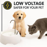 AMICUS Aqua Mini Cat & Dog Water Fountain with Stainless Steel Faucet, Activated Carbon Filter & USB Powered Quiet Pump – White