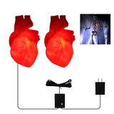 Red LED Beating Heart Prop (2-Pack) – Life-Sized Light-Up Skeleton Heart with Timer & Plug-In Power