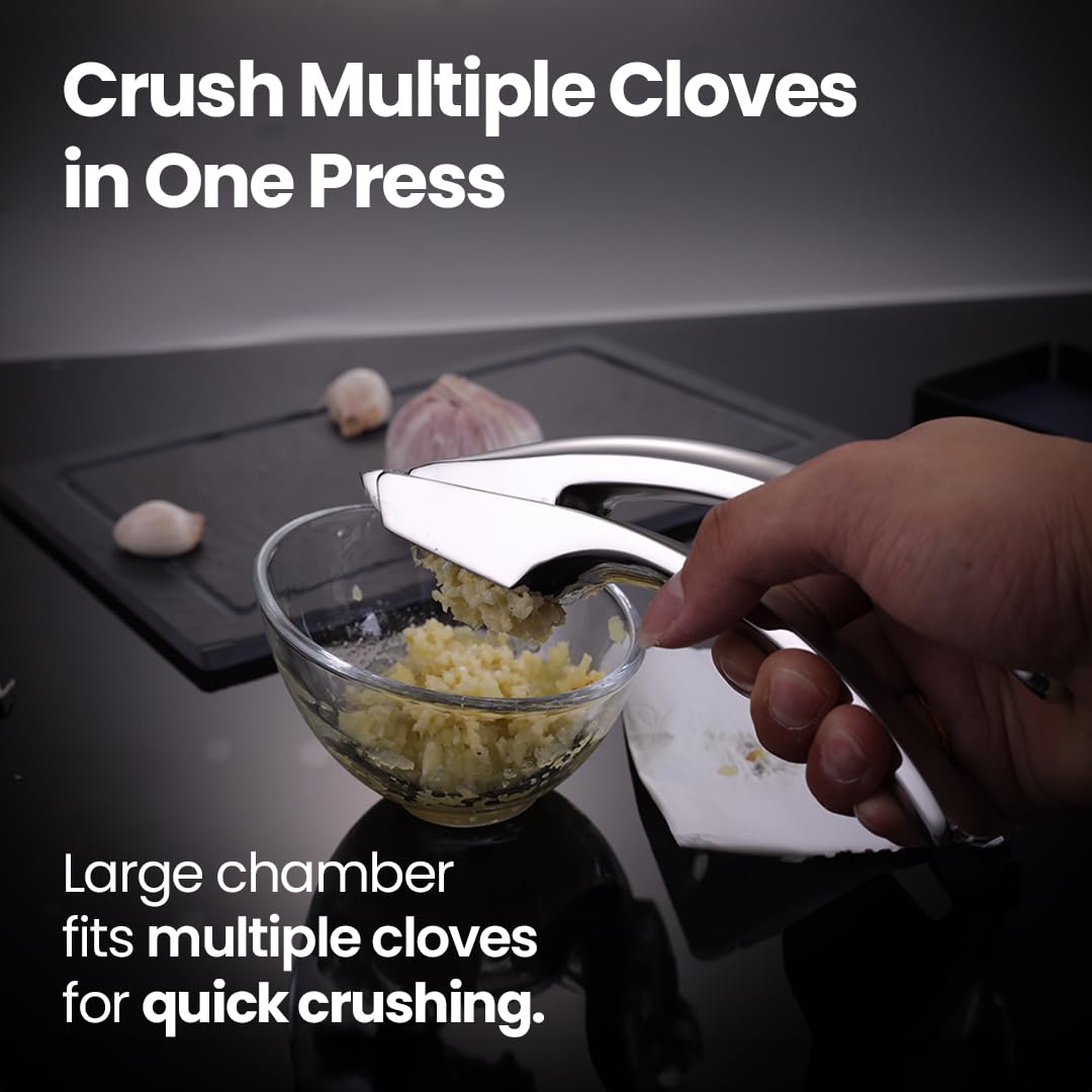 Fine Mince Ginger & Garlic Grater Crusher with Detachable Handle
