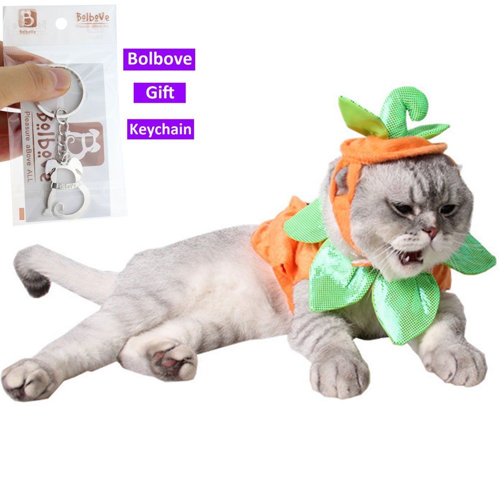 Pumpkin Pet Costume Set – Orange Halloween Outfit with Hat & Clothes for Cats and Small Dogs