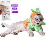 Pumpkin Pet Costume Set – Orange Halloween Outfit with Hat & Clothes for Cats and Small Dogs