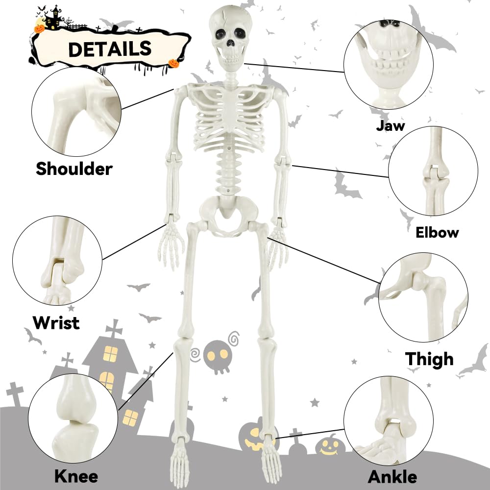 3ft Full Body Halloween Skeleton Decoration – Posable Joints, Realistic Design & Durable Plastic Build
