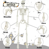3ft Full Body Halloween Skeleton Decoration – Posable Joints, Realistic Design & Durable Plastic Build