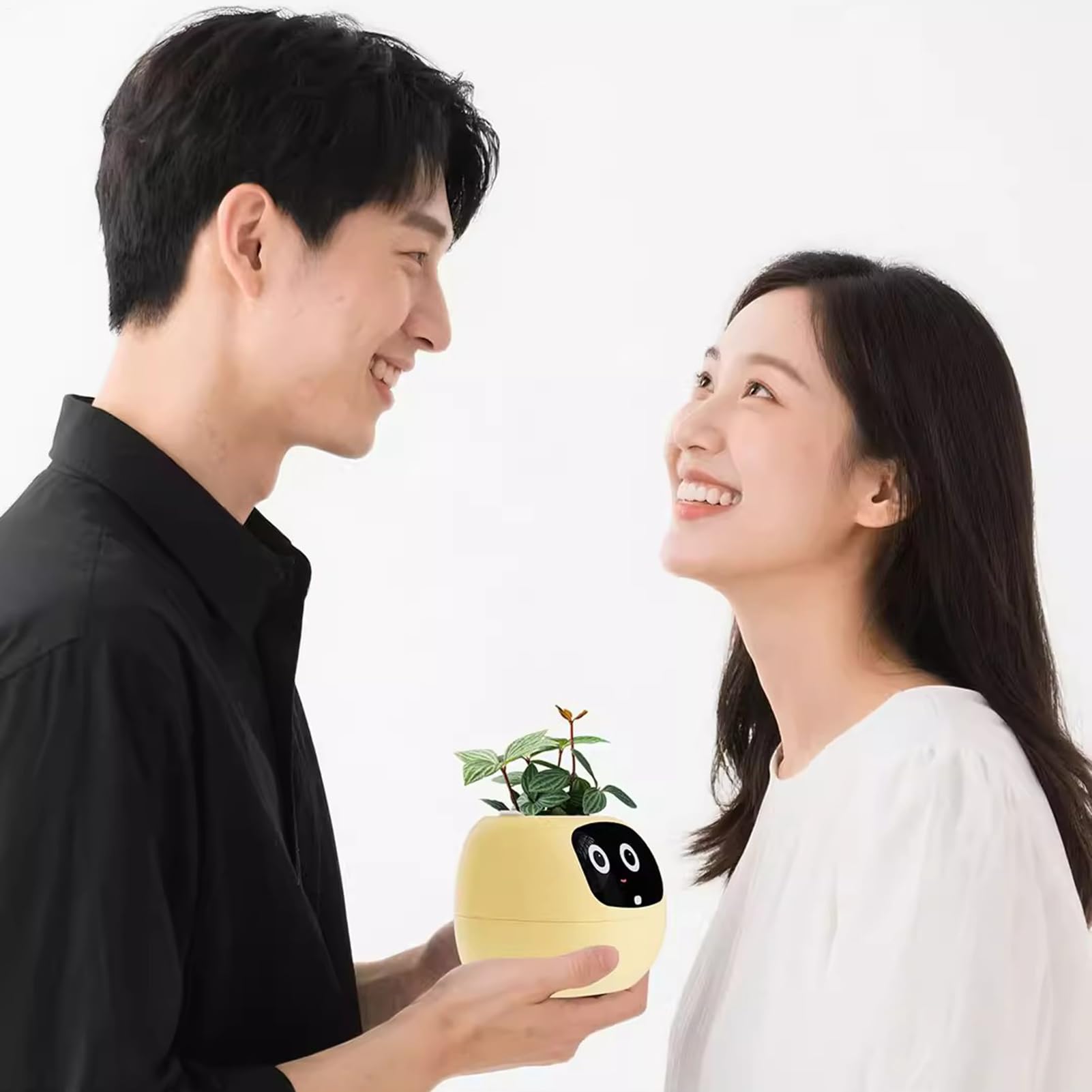 Interactive AI Smart Plant Pot with Animated Display, Gesture Recognition, and Intelligent Plant Care Assistant for Indoor Plants