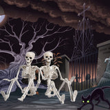 24" Full Body Halloween Skeleton Decoration – Posable Joints, Realistic Bone Design & Durable Plastic Build