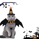 Colorful Cat Halloween Costume Set – Bat Wings & Spider Pumpkin Hat with Breakaway Collar for Cats & Small Dogs