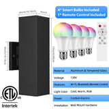 Smart RGB Outdoor Wall Light – Festive Color Changing Up & Down Sconce with Alexa